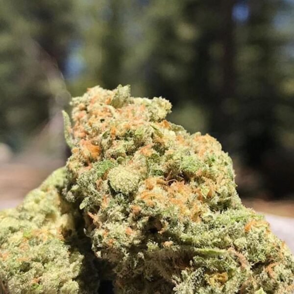 Platinum Og Cali