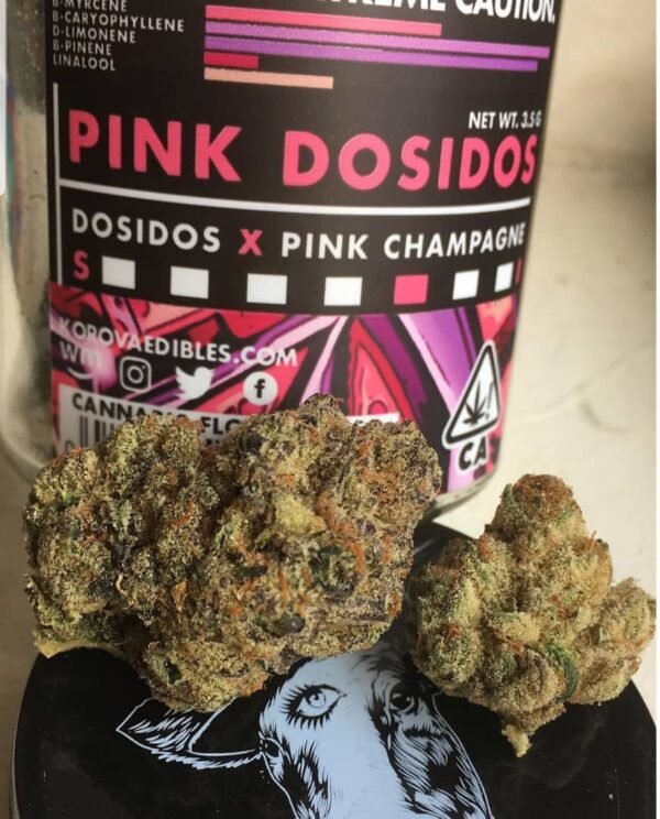 pink dosidos