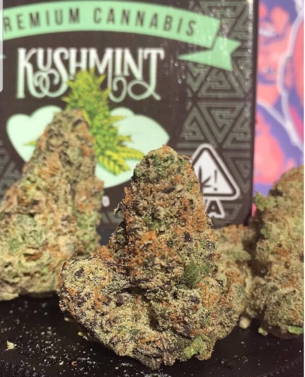 kush mint