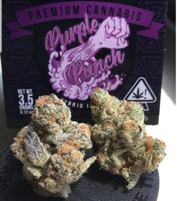 purple punch